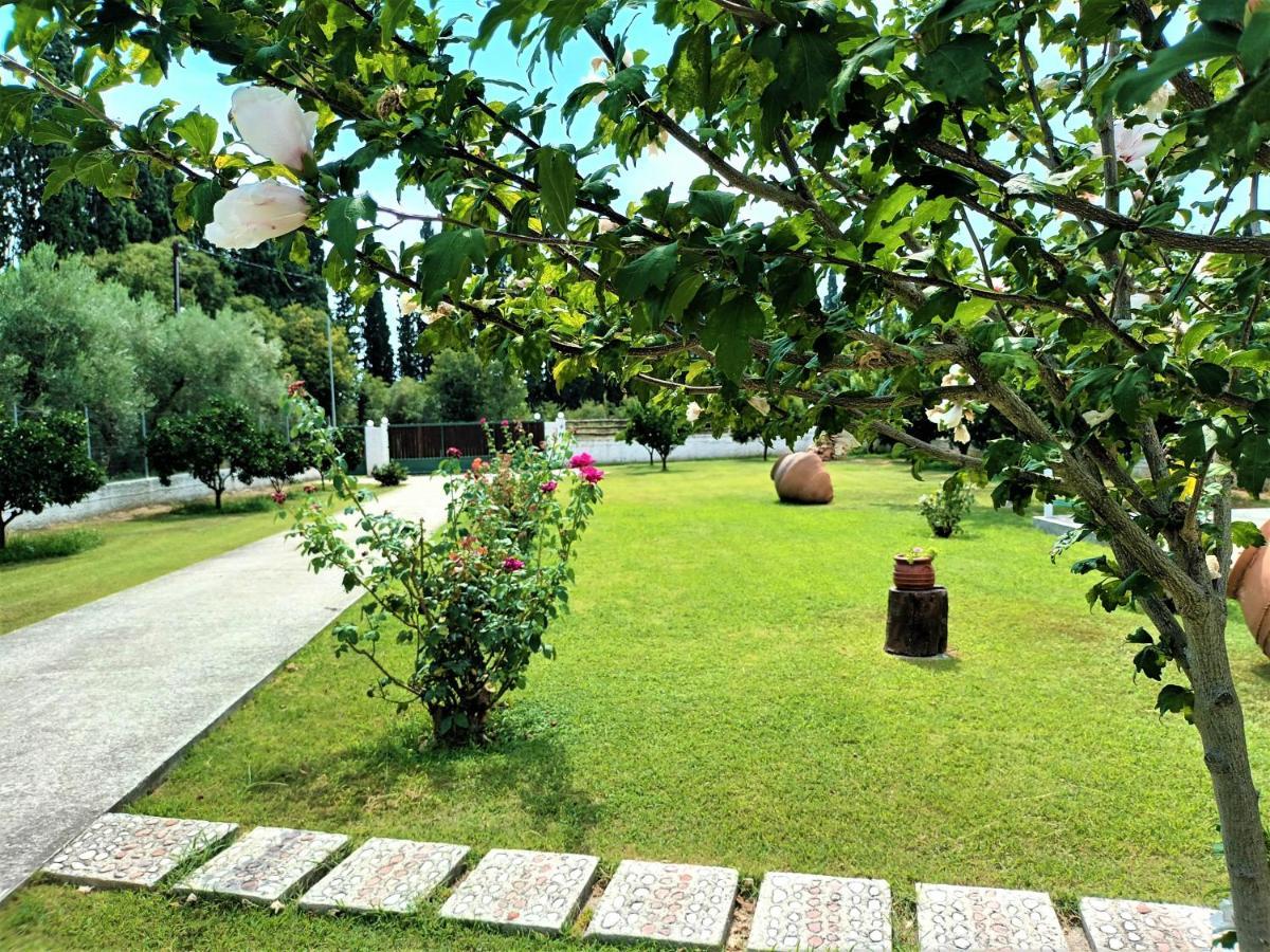 Platanidia Zenia Pelion Garden House 빌라 외부 사진