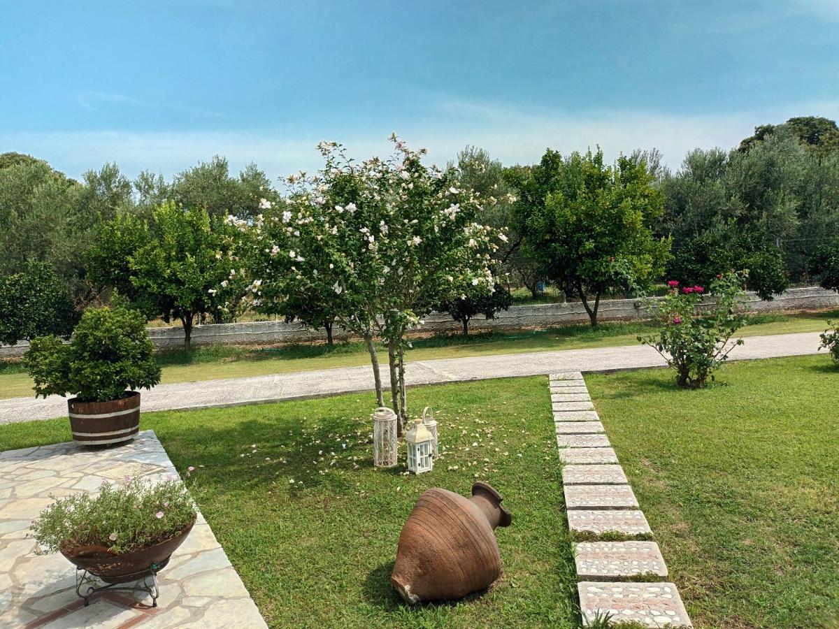 Platanidia Zenia Pelion Garden House 빌라 외부 사진