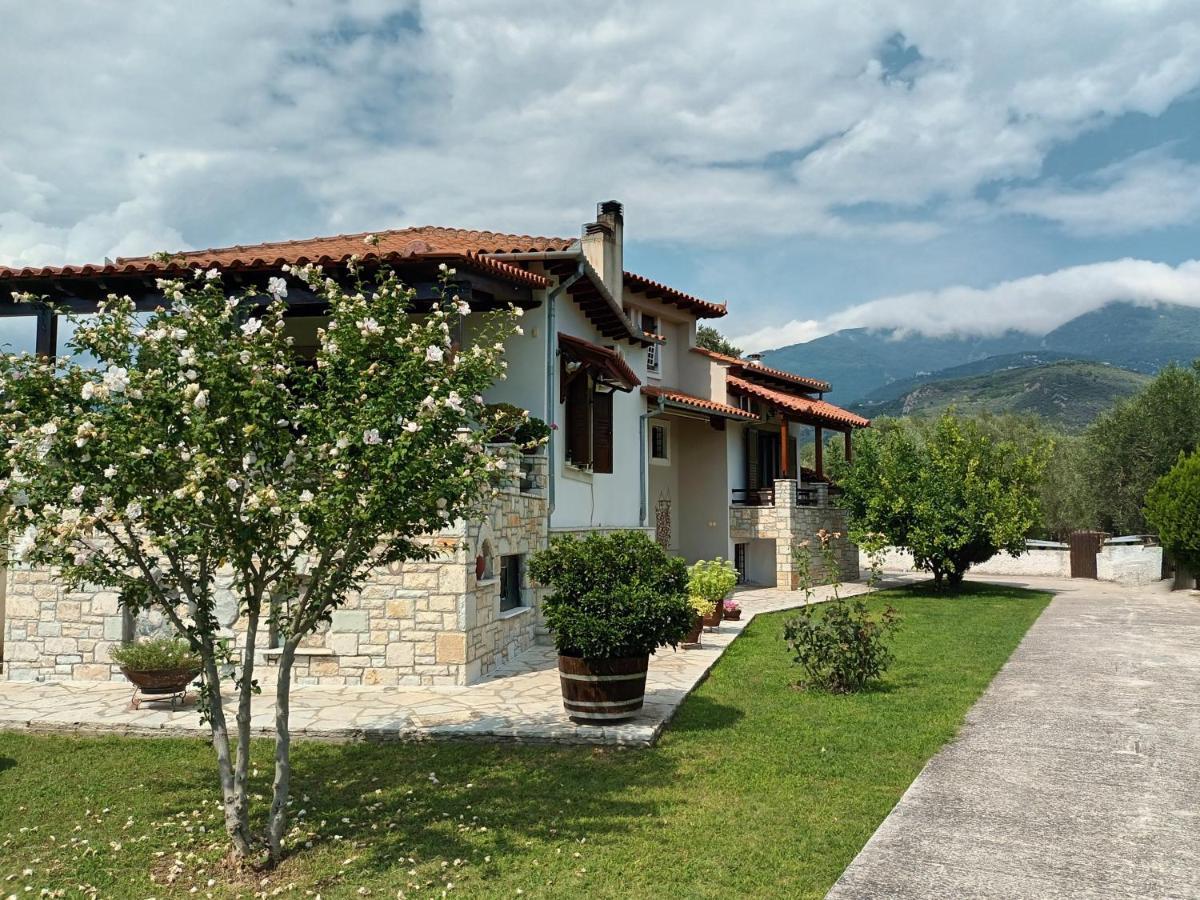 Platanidia Zenia Pelion Garden House 빌라 외부 사진